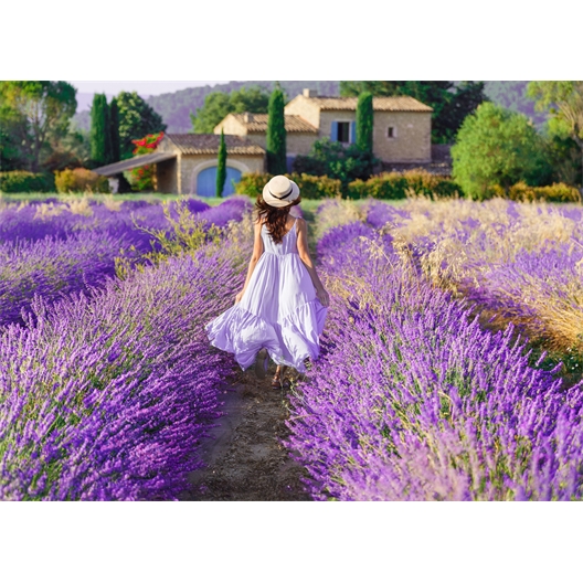 Un air de Provence