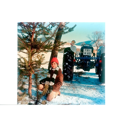 L'arbre de Noël : Bourvil, William Holden…