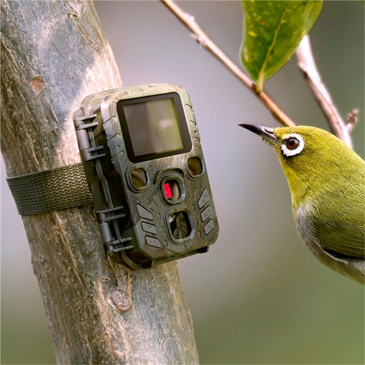 2 en 1 : surveille votre maison et observe la faune !