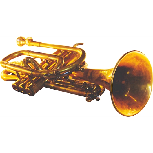 Danza : David Langlet