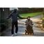 Intouchables (DVD)