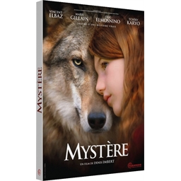 Mystère : Vincent Elbaz, Marie Gillain, …
