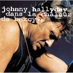 Johnny Hallyday : Dans la chaleur de Bercy 1990