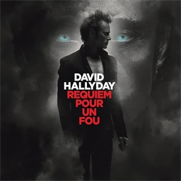 David Hallyday : Requiem pour un fou