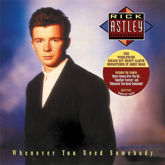 Rick Astley : Whenever you need somebody