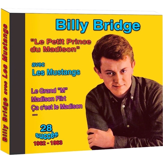 Billy Bridge et les mustangs