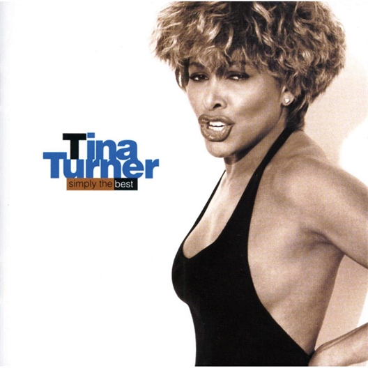 Tina Turner : Simply The Best