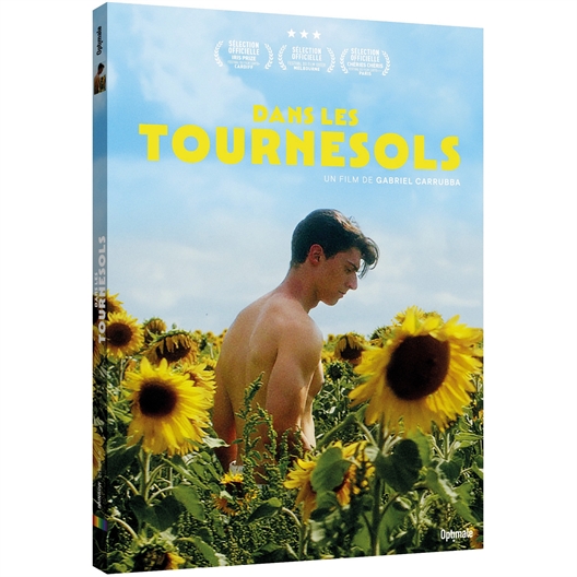 Dans les tournesols : Liam Mollica, Luke J. Morgan, ...