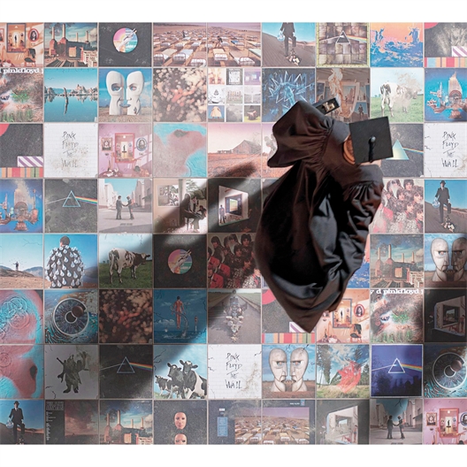 Pink Floyd : A Foot in the Door : Best of