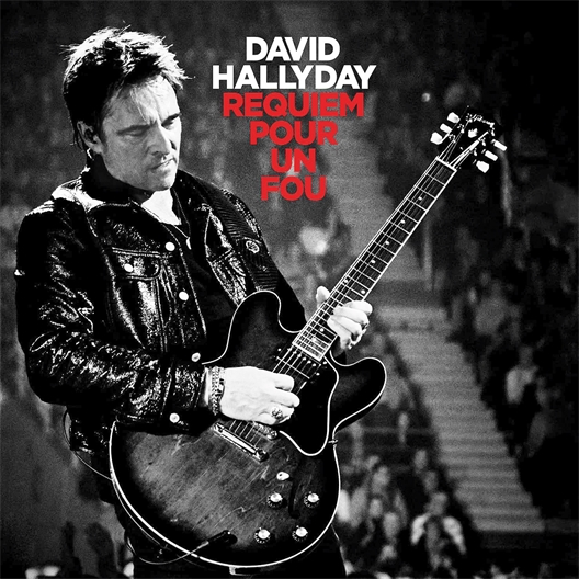 David Hallyday : Requiem pour un fou