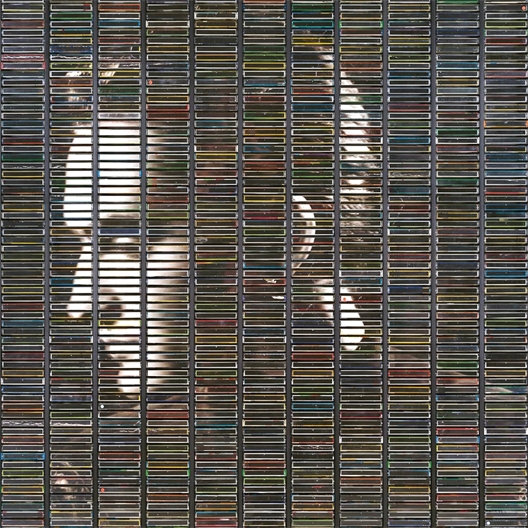 Stephan Eicher : Poussière d'Or