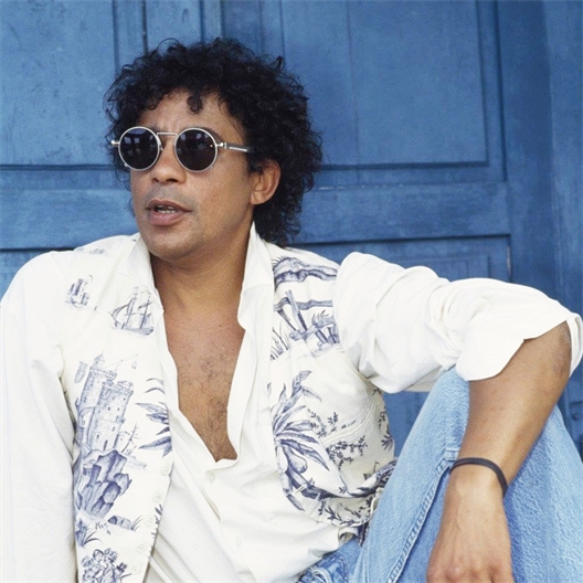 Laurent Voulzy : 21 Souvenirs