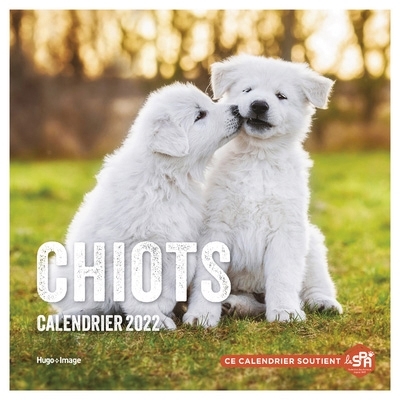 Chiots : Calendrier mural 2022